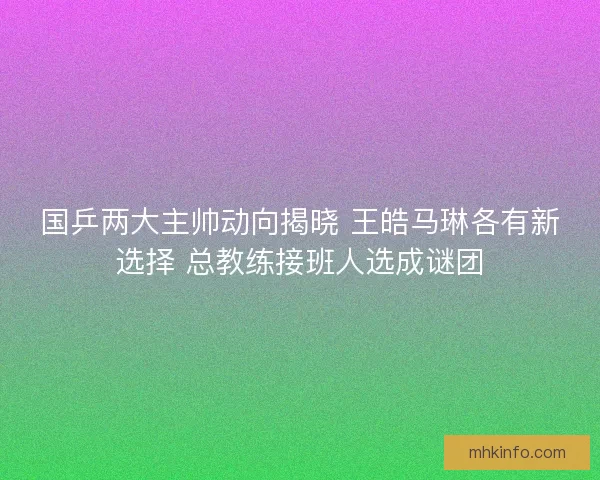 国乒两大主帅动向揭晓 王皓马琳各有新选择 总教练接班人选成谜团