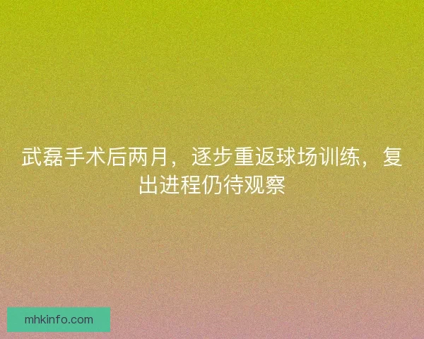 武磊手术后两月，逐步重返球场训练，复出进程仍待观察