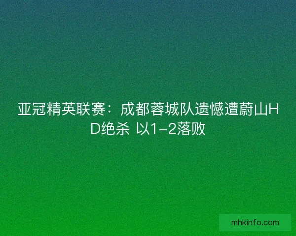 亚冠精英联赛：成都蓉城队遗憾遭蔚山HD绝杀 以1-2落败