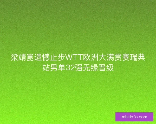 梁靖崑遗憾止步WTT欧洲大满贯赛瑞典站男单32强无缘晋级